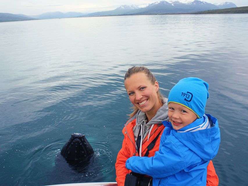 Árskógssandur: Whale-Watching Boat Trip - Humpback whales, dolphins, and the value of patience
