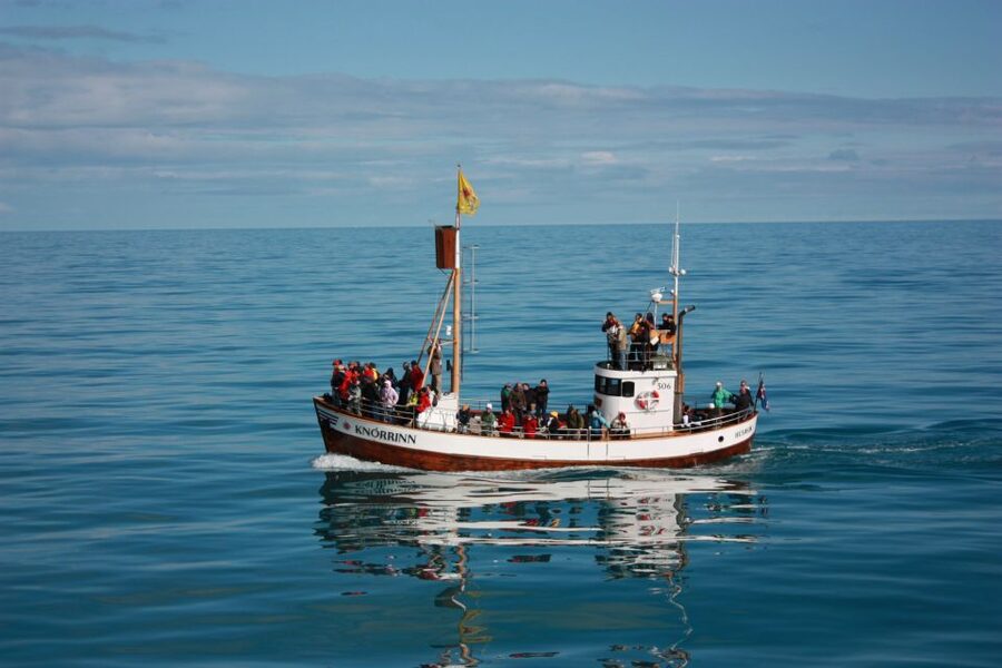 Árskógssandur: Whale-Watching Boat Trip - Who will enjoy this cruise most?