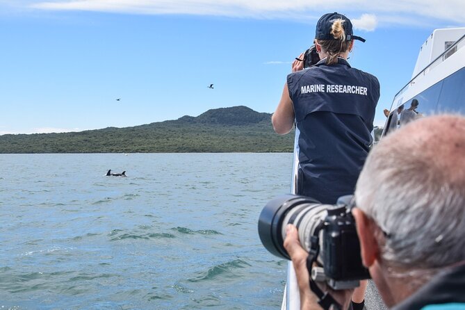 Auckland Dolphin and Whale Watching Eco-Safari Cruise - Searching the Hauraki Gulf Marine Park