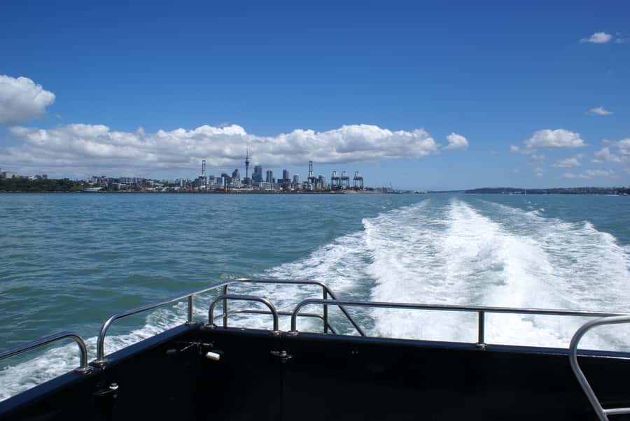 Auckland: Tikapa Moana Whales, Dolphins and Islands Cruise - Weekday and Weekend Timing