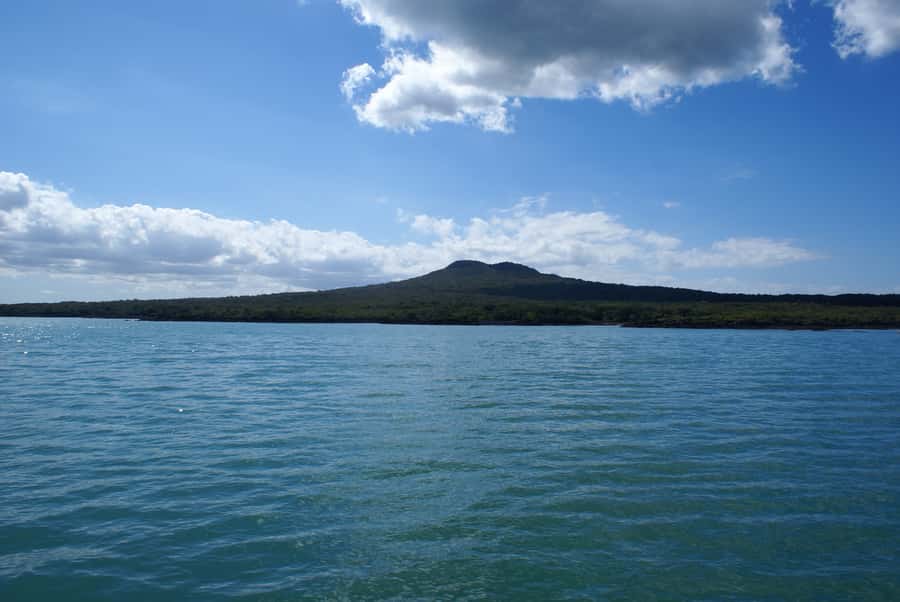 Auckland: Tikapa Moana Whales, Dolphins and Islands Cruise - What the $92 Price Gets You