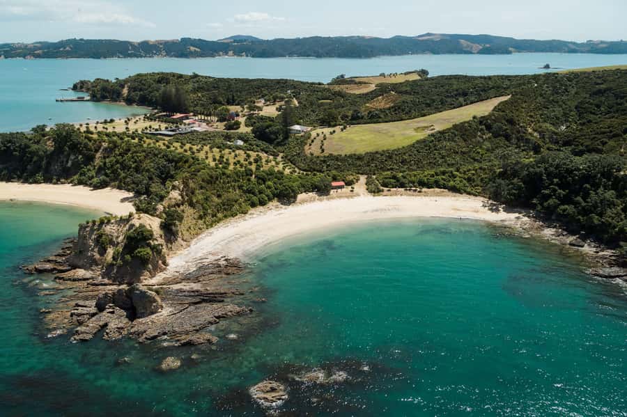 Auckland: Tikapa Moana Whales, Dolphins and Islands Cruise - Weather, Clothing, and Comfort