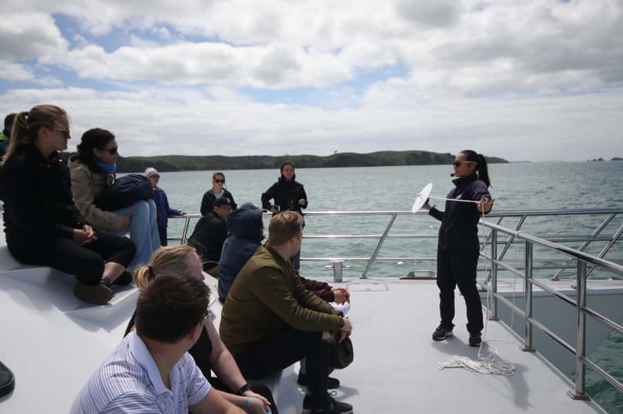 Auckland: Whale and Dolphin Watching Half-Day Eco Cruise - Setting out from Auckland’s Viaduct Harbour