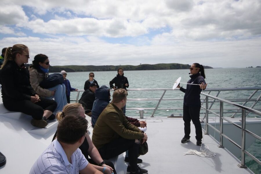 Auckland: Whale and Dolphin Watching Half-Day Eco Cruise - Seabirds, sharks, penguins, and the smaller story