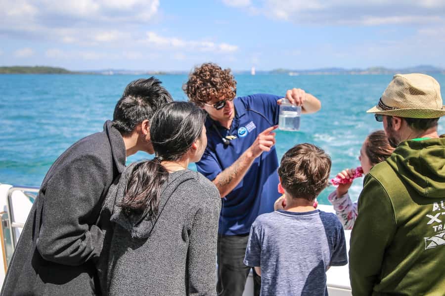 Auckland: Whale and Dolphin Watching Half-Day Eco Cruise - Who will enjoy this most