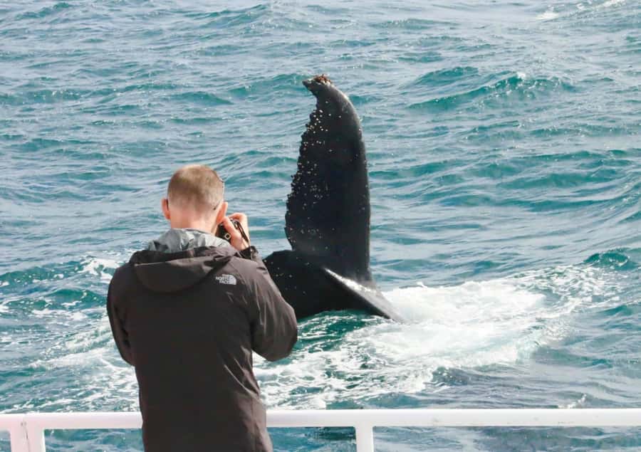 Augusta: Whale Watching Tour - Cruising through Flinders Bay