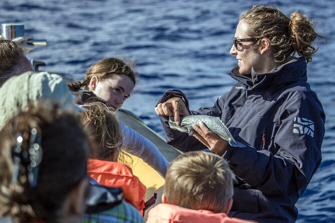 Azores Whale Watching & Islet Boat Tour - Why the Azores are a strong whale-watching choice