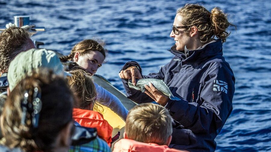 Azores: Whale Watching & Islet Boat Tour w/ Marine Biologist - A practical three-hour plan