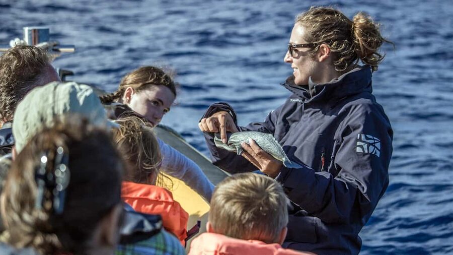 Azores: Whale Watching & Islet Boat Tour w/ Marine Biologist - From Vila Franca marina to open Atlantic water