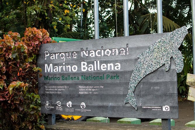 Bahia Ballena Whale and Dolphin Tour - Morning - Setting out from Uvita at 8:00 a.m.