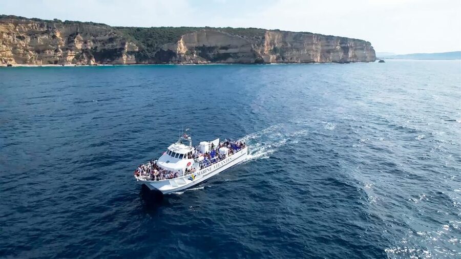 Barbate: Dolphin and Whale Watching in Cape Trafalgar - Key points to know before you book