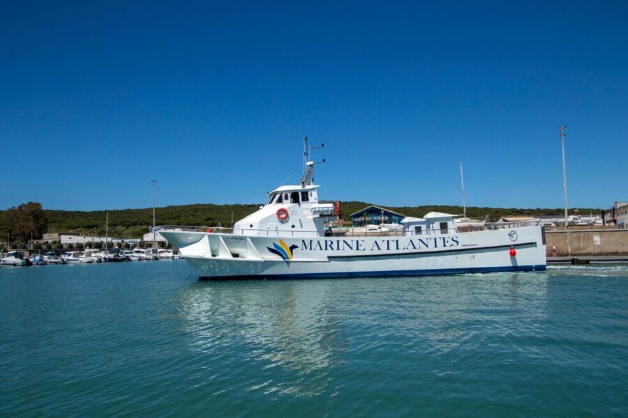 Barbate: Dolphin and Whale Watching in Cape Trafalgar - What the onboard teaching adds