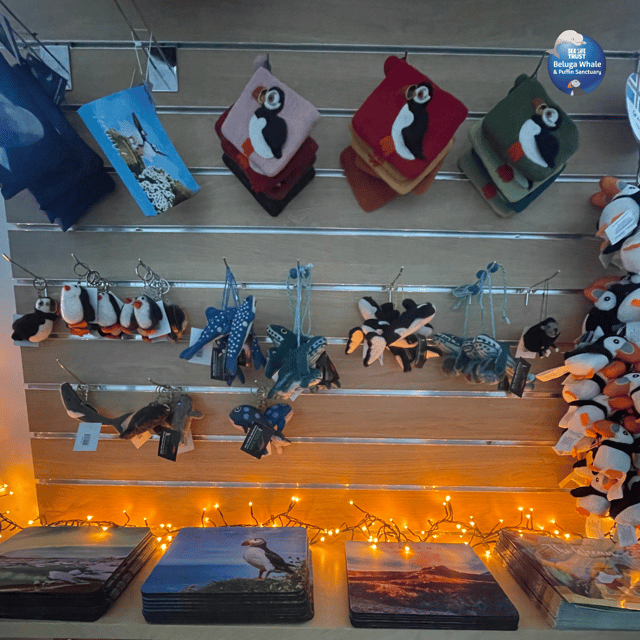 Beluga Whale Sanctuary - Admissions - The Puffin Rescue Centre