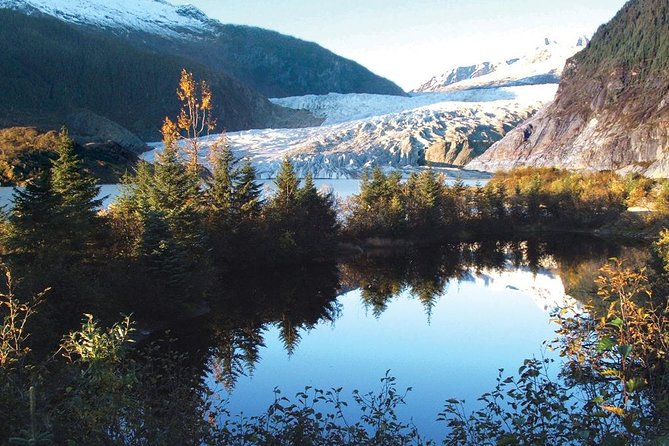 Best of Juneau: Mendenhall Glacier, Whale Watching and Salmon Bake - Why this tour works for a short Juneau visit