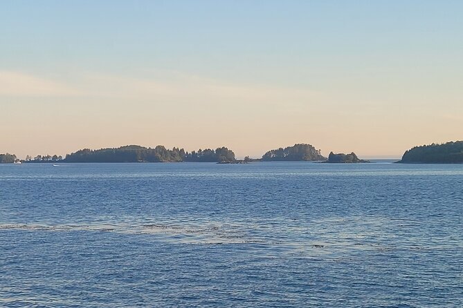 Best Whale Watching and Wildlife Shore Excursion in Sitka - Weather is the real wildcard