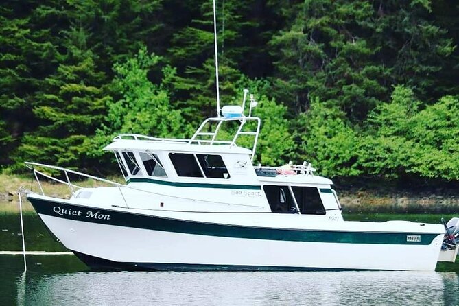 Best Whale Watching and Wildlife Shore Excursion in Sitka - Whale watching without rushing the animals