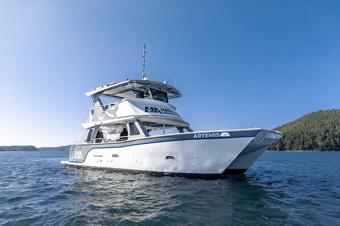Big Island: Pelagic Whale Watch Tour - Near-shore waters and winter humpbacks