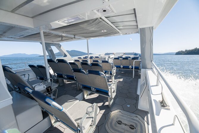 Big Island: Pelagic Whale Watch Tour - Should you book the Pelagic Whale Watch Tour?