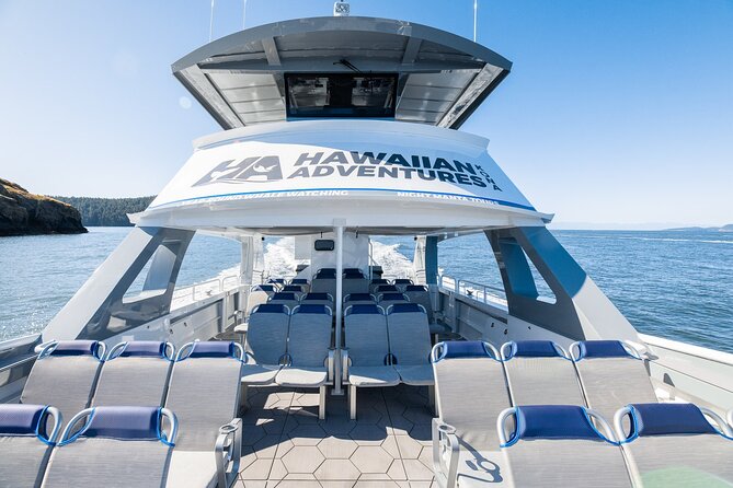 Big Island: Pelagic Whale Watch Tour - The pelagic zone: where the trip gets more unusual