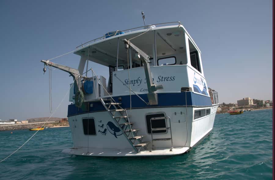 Boa Vista: Whale Watching Trip with Motoryacht - Three hours of patient searching