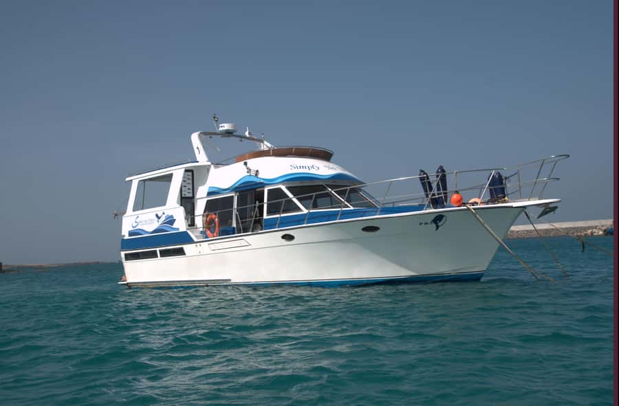 Boa Vista: Whale Watching Trip with Motoryacht - Is $94 a fair price?