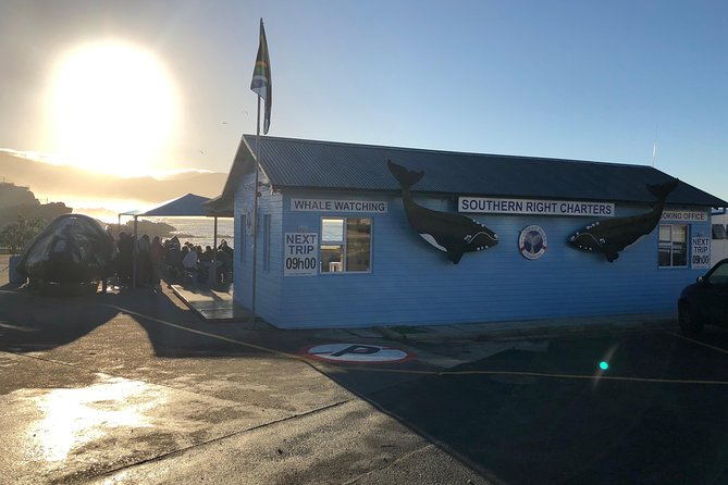 Boat Based Whale Watching from Hermanus - When to book and how to handle the weather