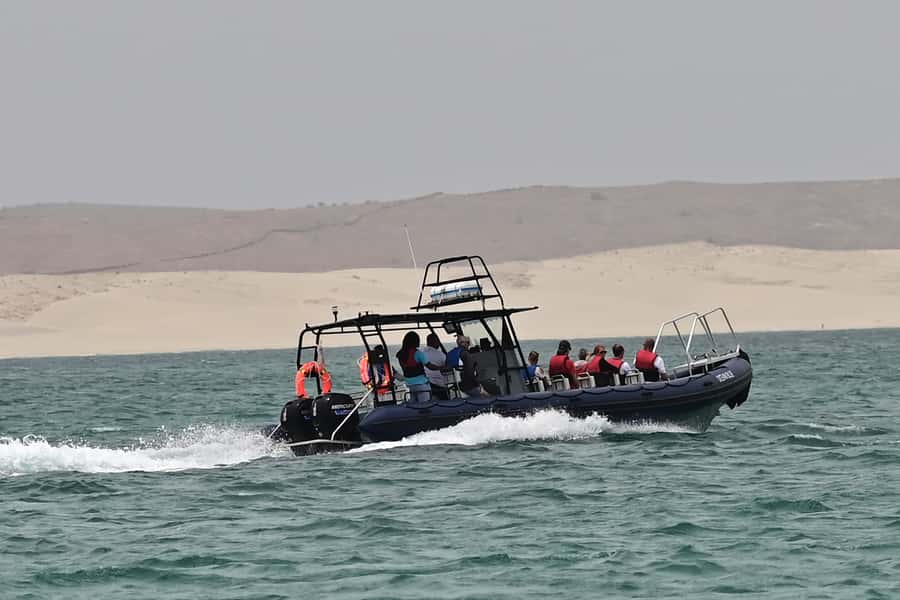 Boavista: Whale Watching half day trip - Who should book this Zodiac trip?