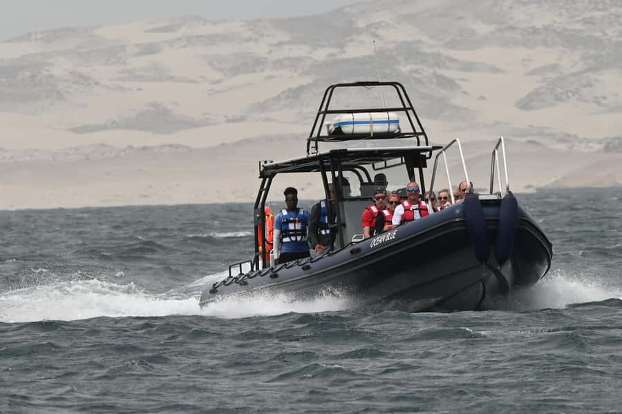 Boavista: Whale Watching half day trip - Should you book it?