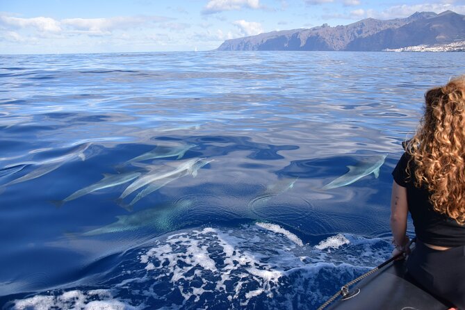 Bonadea II Ecological Whale Watching, 2 hours - What the six-person limit means on the water