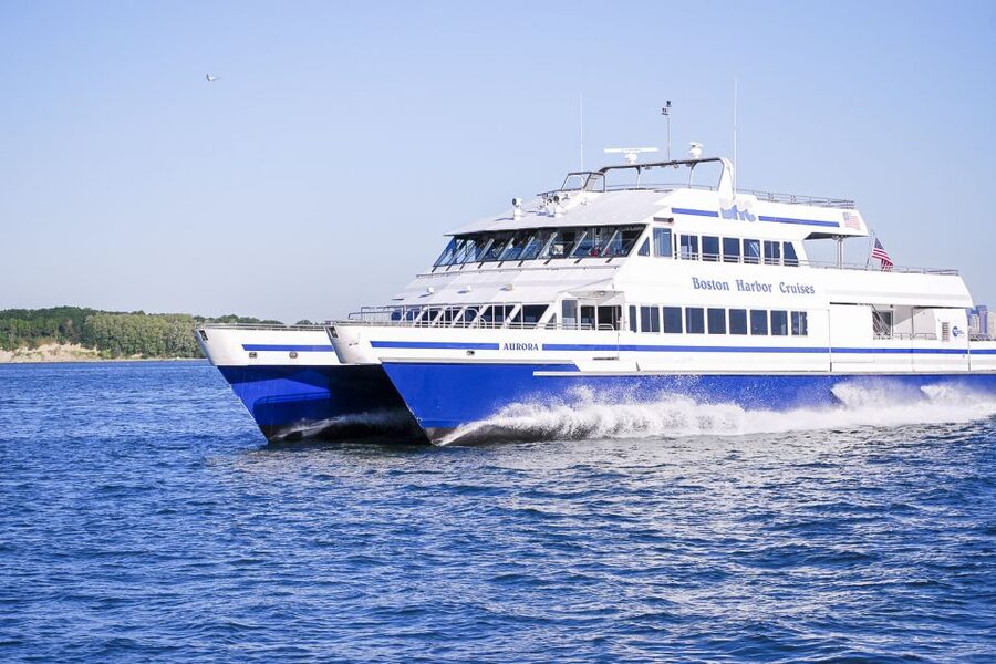 Boston: City Cruises Whale Watching Cruise - Boston’s best whale-watching setting