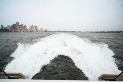 City Cruises Whale Watching Cruise