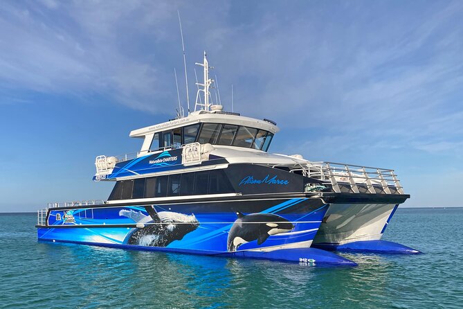 Bremer Canyon Killer Whale (Orca) Expedition - Why Bremer Canyon is worth the long day