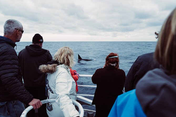 Bremer Canyon Killer Whale (Orca) Expedition - How the crew shapes the day