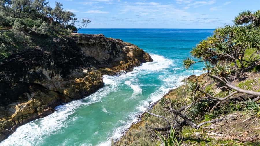 Brisbane to North Stradbroke Island Day: Wildlife & Beaches - Why this island day works from Brisbane