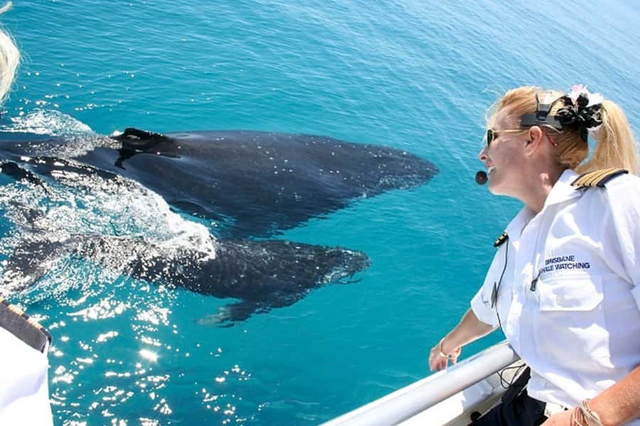 Brisbane: Whale Watching Cruise with Lunch - Boarding MV Eye Spy