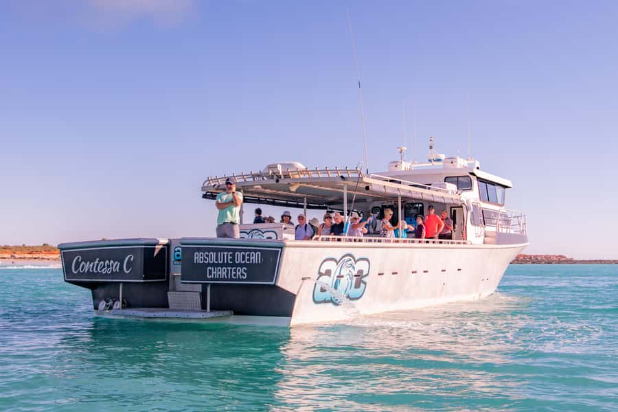 Broome Sunset & Whale Watching Cruise - A three-hour outing shaped by the sunset