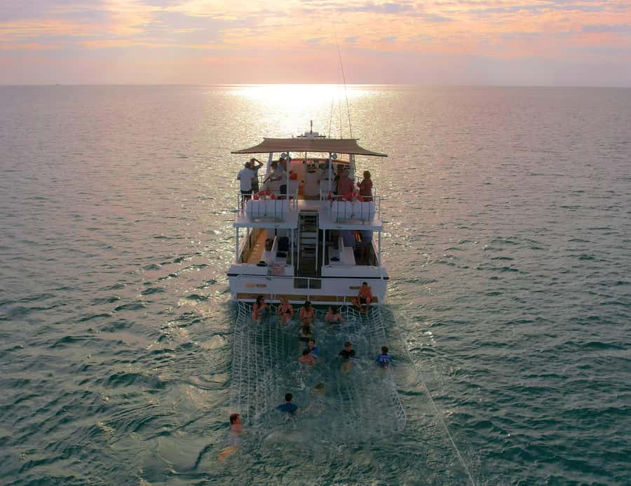 Broome: Whale Watching & Sunset Cruise - Three hours looking for humpback whales