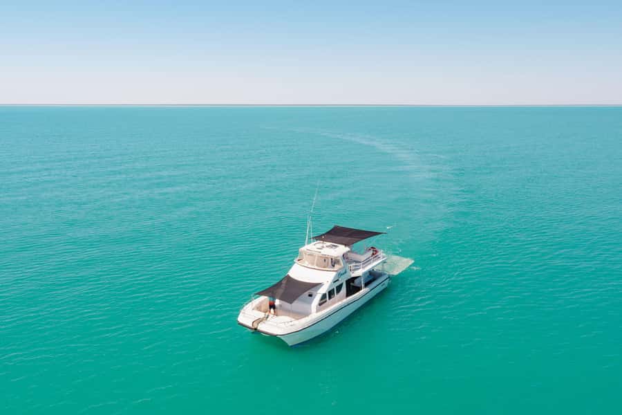 Broome: Whale Watching & Sunset Cruise - Food, drinks, and the boat itself