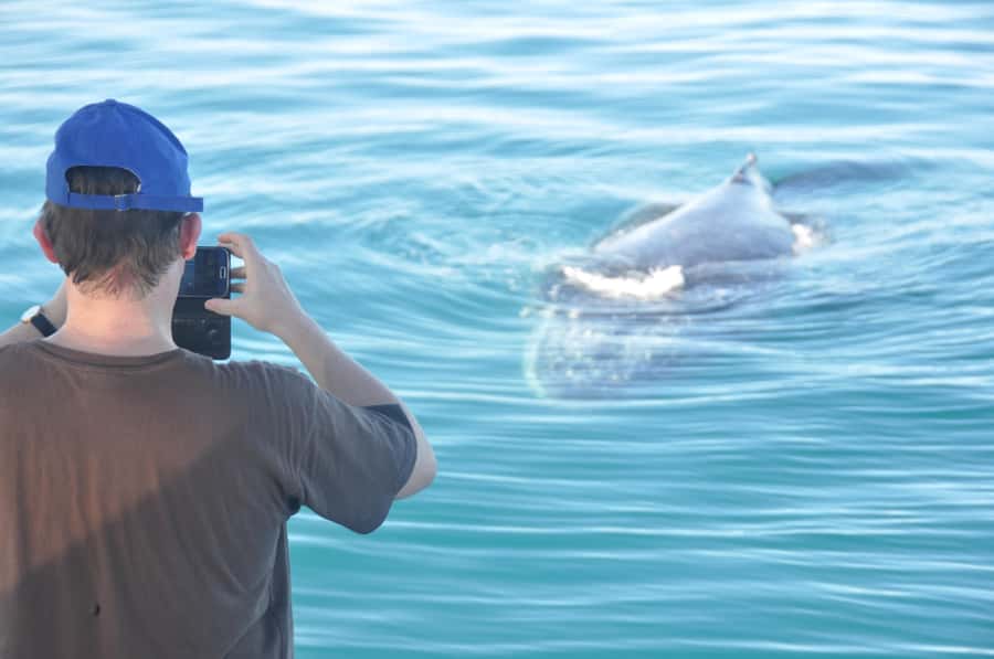 Broome: Whale Watching & Sunset Cruise - From hotel pickup to the beach transfer