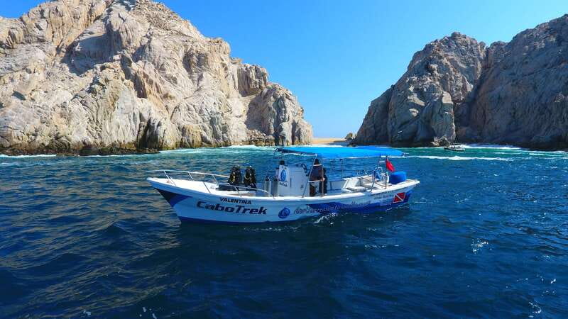 Cabo San Lucas: 2.5-Hour Whale Watching Tour - The hydrophones are the unusual feature