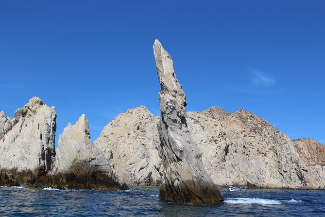 Cabo San Lucas Humpback Whale Watching Tour - Seeing the Sea of Cortez meet the Pacific
