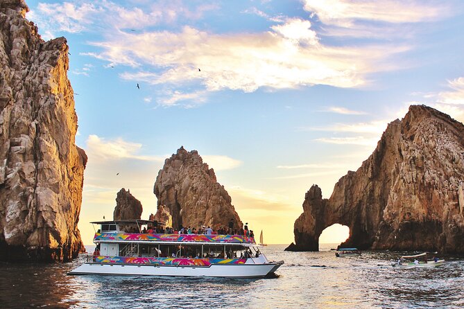 Cabo San Lucas Humpback Whale Watching Tour - Getting to the marina at 9:00 a.m.