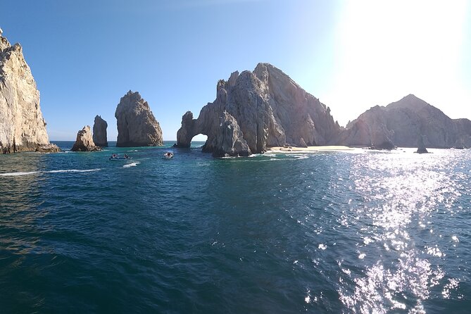 Cabo San Lucas Humpback Whale Watching Tour - Is $99 a fair price?