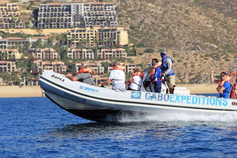 Cabo San Lucas: Up-Close Whale Watching Small-Group Tour - Why the Zodiac changes whale watching in Cabo