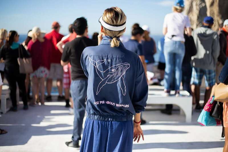 Cabo San Lucas: Whale Watching Breakfast Cruise - The first view: Cabo’s Arch and the coastline