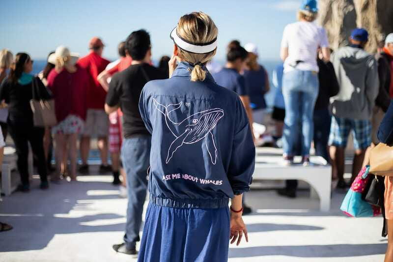 Cabo San Lucas: Whale Watching Breakfast Cruise - Breakfast that feels like a real meal