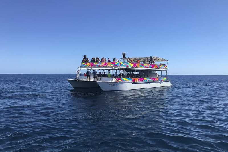 Cabo San Lucas: Whale Watching Breakfast Cruise - An open bar and a lively catamaran mood