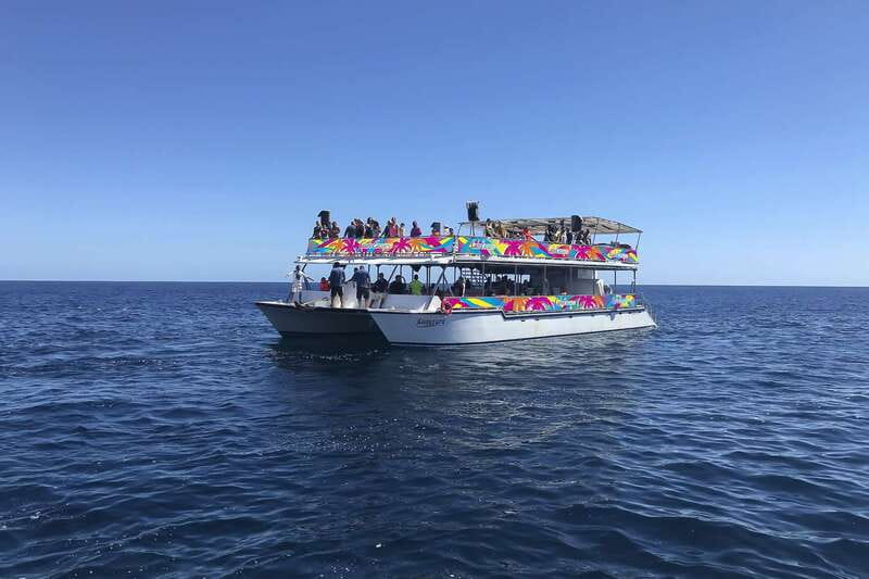 Cabo San Lucas: Whale Watching Breakfast Cruise - How the two-hour itinerary unfolds