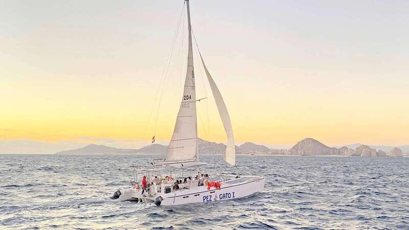 Cabo San Lucas: Whale Watching Experience on Catamaran - Breakfast or lunch, plus drinks on board