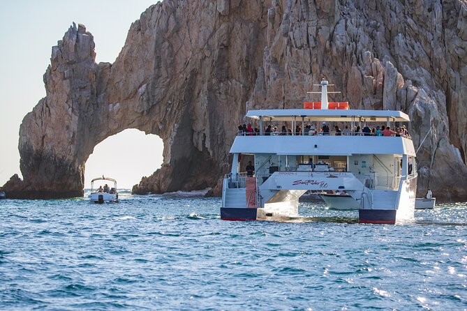 Cabo San Lucas Whale Watching Lunch Cruise - What the $115 price really covers